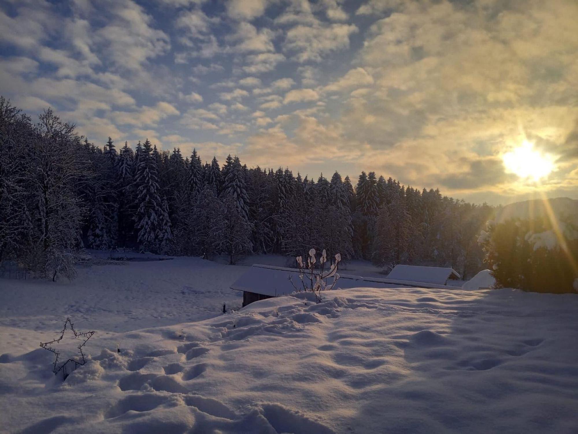 Ferienwohnung Im Bayerischen Wald Mit Terrasse Викхтах Екстериор снимка