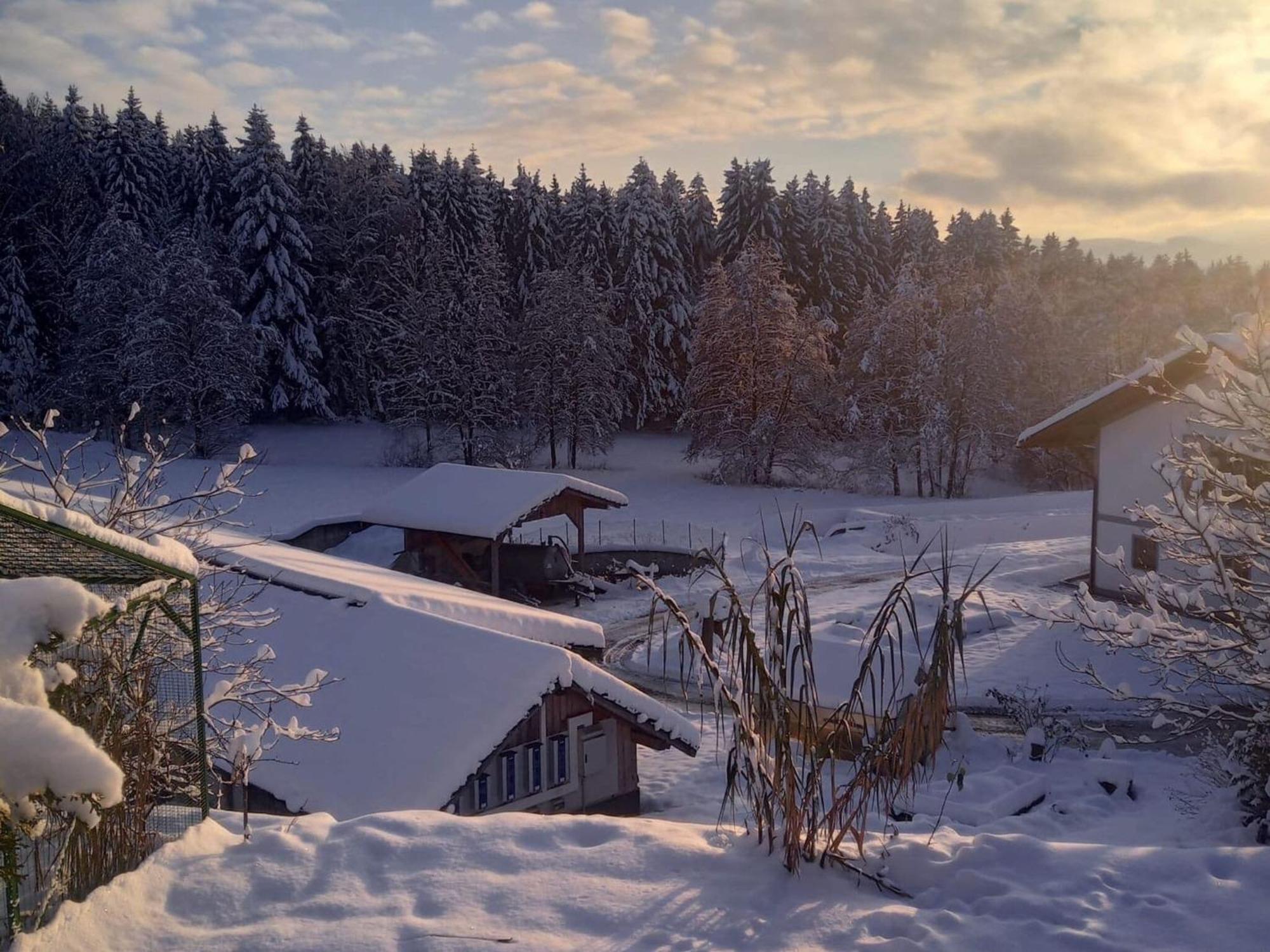 Ferienwohnung Im Bayerischen Wald Mit Terrasse Викхтах Екстериор снимка